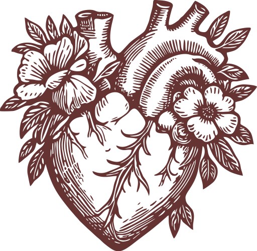 Beautiful Vector Images Over 3 4 Million