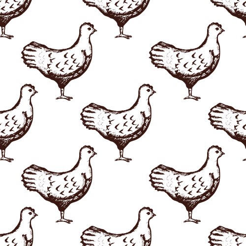 Charming Chicken Pattern - Hand Drawn Vector Image