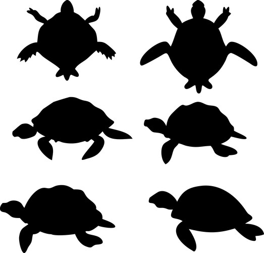 Sea turtle silhouette bundle Royalty Free Vector Image