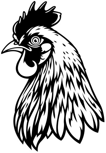 Hen Head Outline Drawing Vector Image