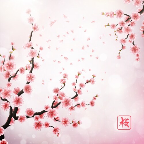 Realistic japan cherry branch eps 10 Vector Image