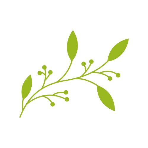 Leaf olive oil logo design image vector image