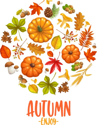 Fall Leaves Vector Images (over 81,000)