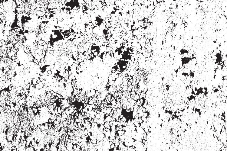 Texture overlay creat grunge effect black Vector Image
