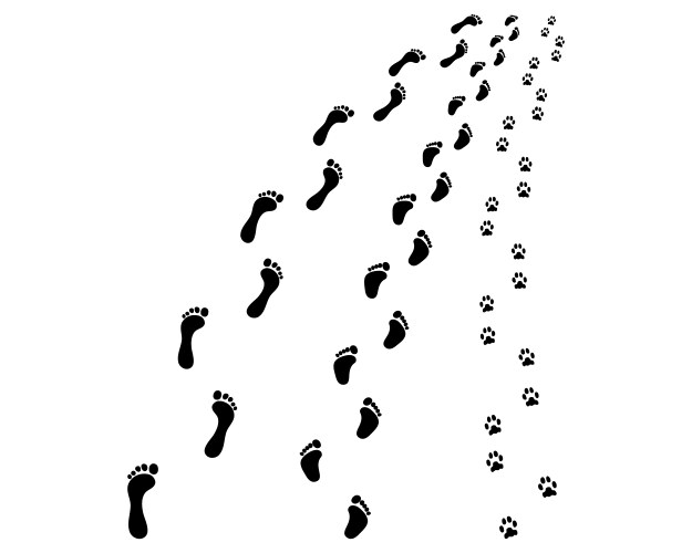 Black footprints of man child and dog Vector Image