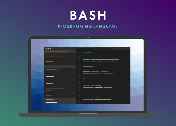 Bash programming language vector image