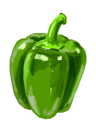 Bell Pepper Sketch Vector Image