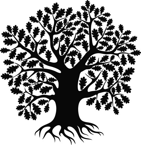 Oak tree Royalty Free Vector Image - VectorStock