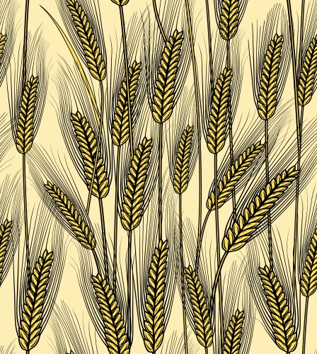 Seamless wheat ears background Royalty Free Vector Image