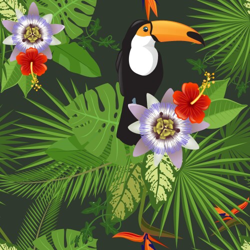 Tropical flower border Royalty Free Vector Image