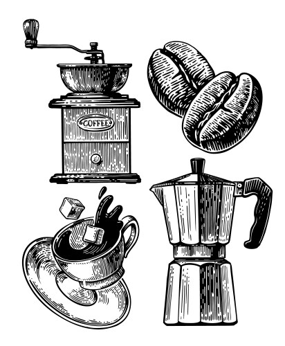 Coffee Grinder & Bean Set Vector Image