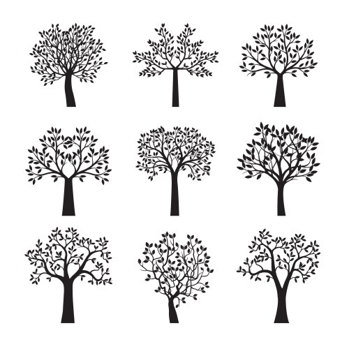 Set of black trees outline plant vector image