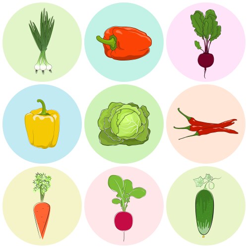 Colored icons vegetables Vector Image