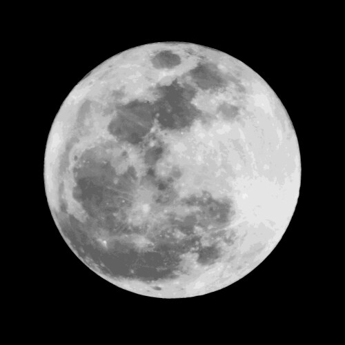 realistic gray full moon vector