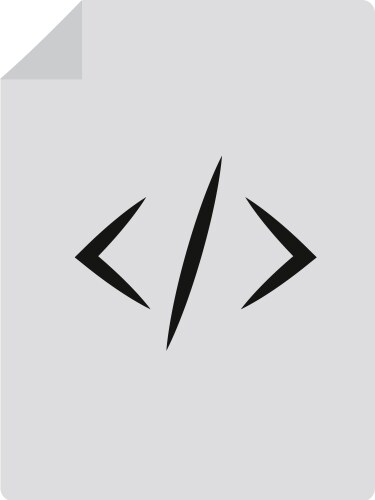 Programming code sheet symbol vector image
