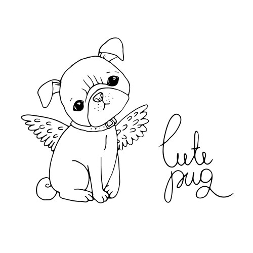 Adorable Pug Dog Portrait Vector Image