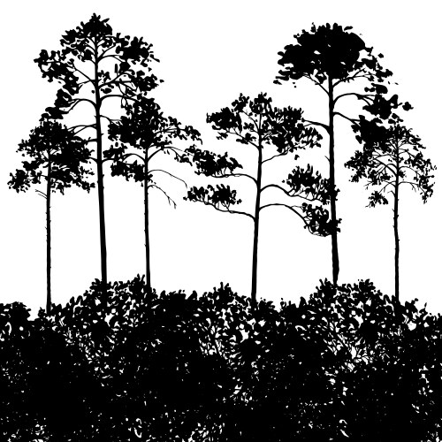 Landscape with pine trees Royalty Free Vector Image