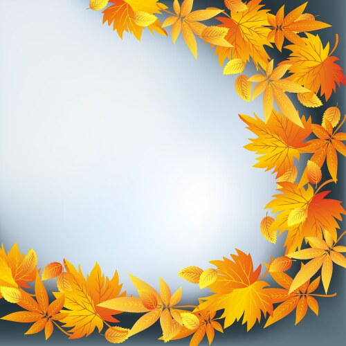 Autumn leaves background design with copy space Vector Image
