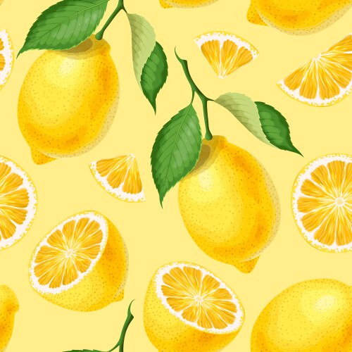 Seamless pattern with oranges Royalty Free Vector Image