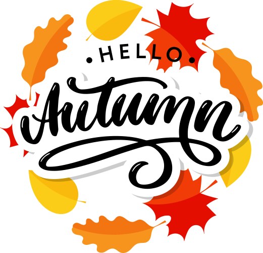 hello autumn goodbye summer trend calligraphy vector image