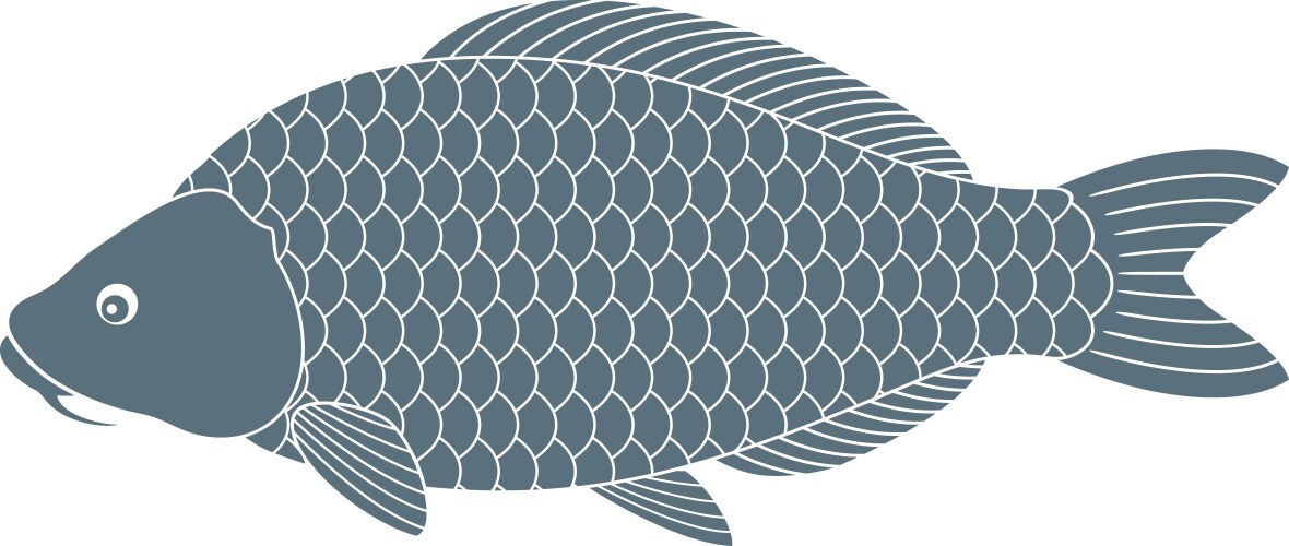 Carp Royalty Free Vector Image - VectorStock