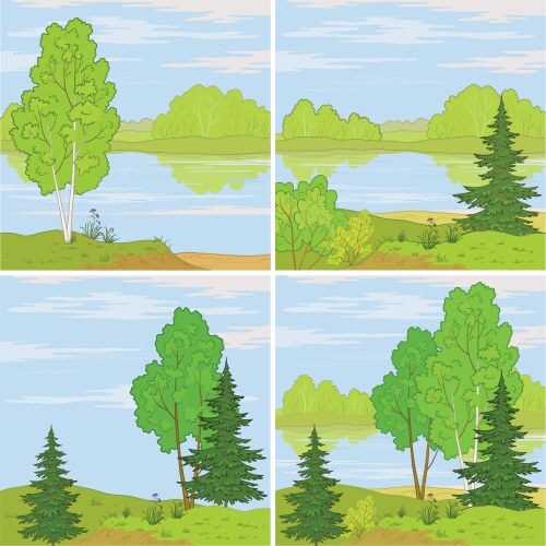 Green Forest Summer Landscape Royalty Free Vector Image