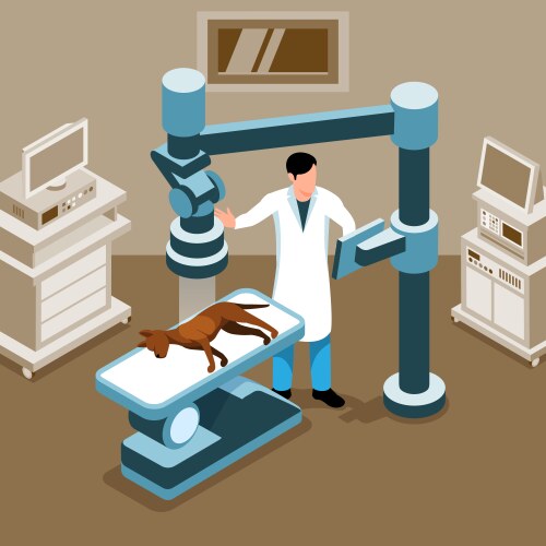 isometric veterinary vector