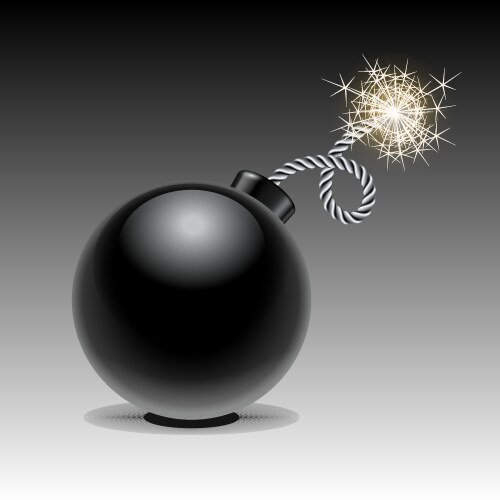 Lit bomb Royalty Free Vector Image - VectorStock
