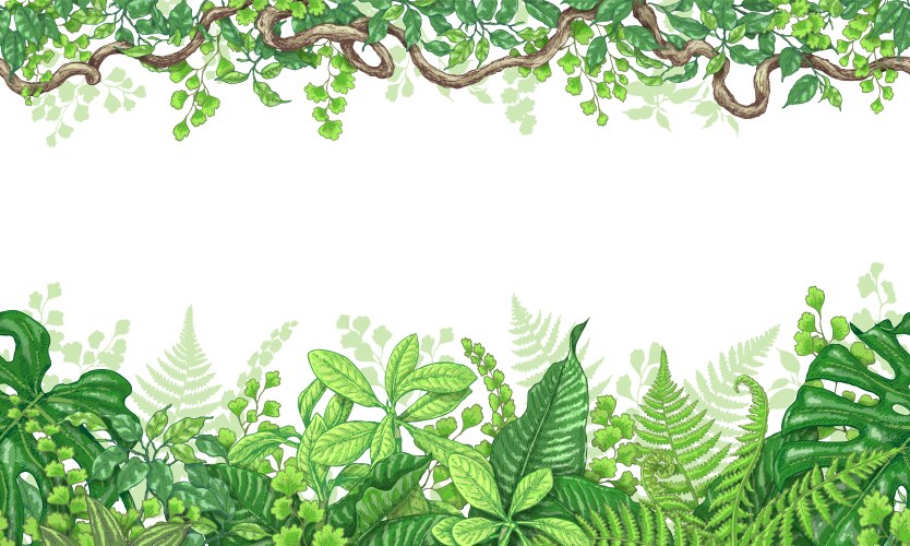 Jungle Border Vector Images (over 9,700)