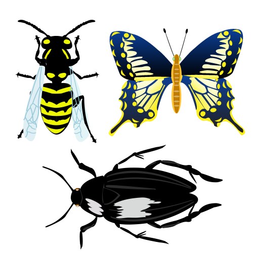 Cartoon insect collection set Royalty Free Vector Image
