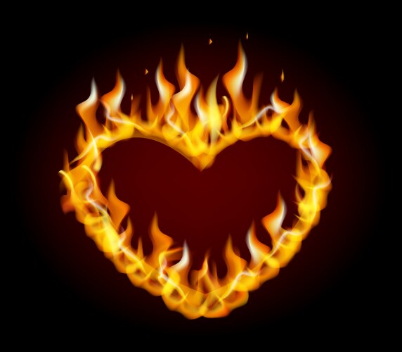 Burning Heart Flame Vector Image