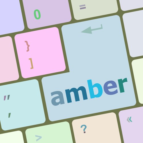 Amber button on modern computer keyboard key vector image