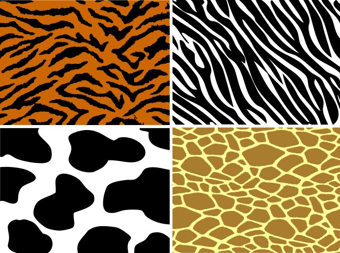Animal Print Patterns Vector Image