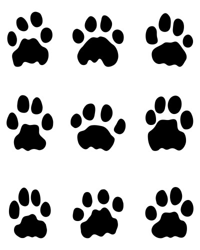 Lion Footprints Vector Image