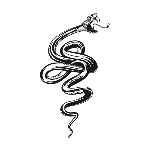 snake tattoo angry black viper vector