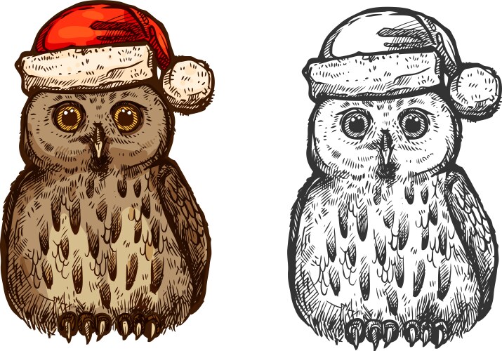 Cute Owl in Santa Hat Sketch Vector Image