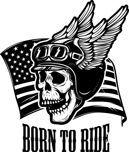 Racer skull on usa flag background biker Vector Image