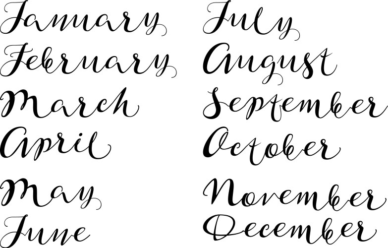 months of year handmade names handwritten font vector image