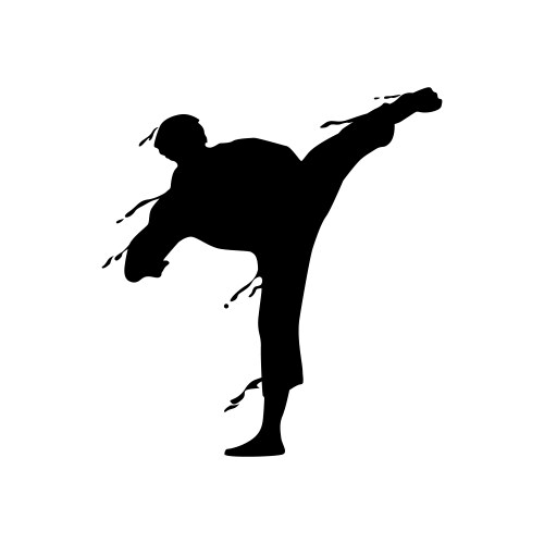 Kick martial art splash silhouette design Vector Image