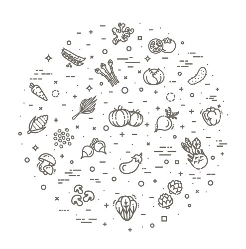 Basic vegetables thin line icon set Royalty Free Vector