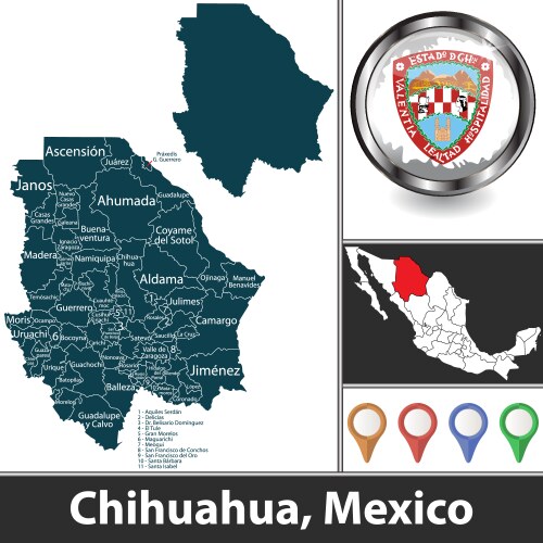 Chihuahua Map Vector Images (over 270)