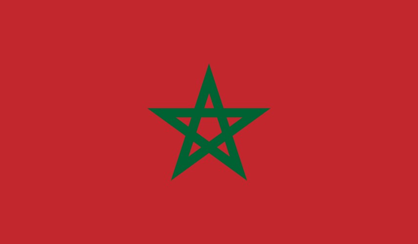 Morocco national flag Vector Image