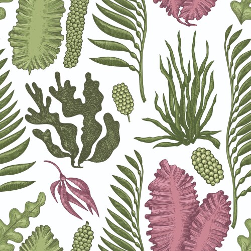 Blue green seaweed vines frame seamless pattern Vector Image