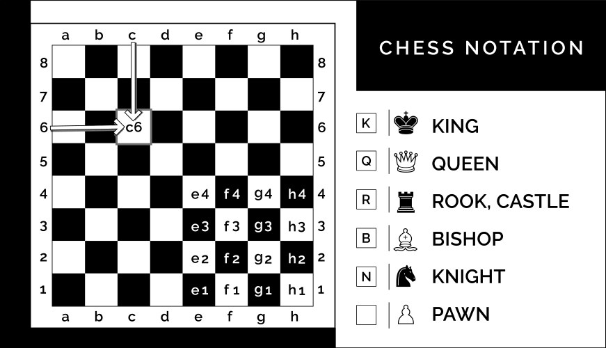 Chess notation with letters and number vector image