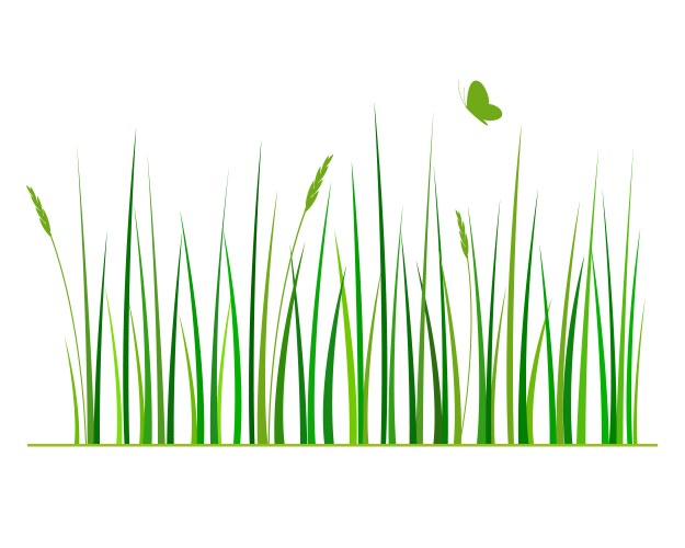Leaves and grass theme image 1 Royalty Free Vector Image