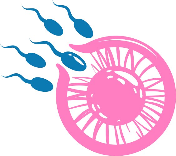 Egg Fertilization Vector Images (over 5,100)