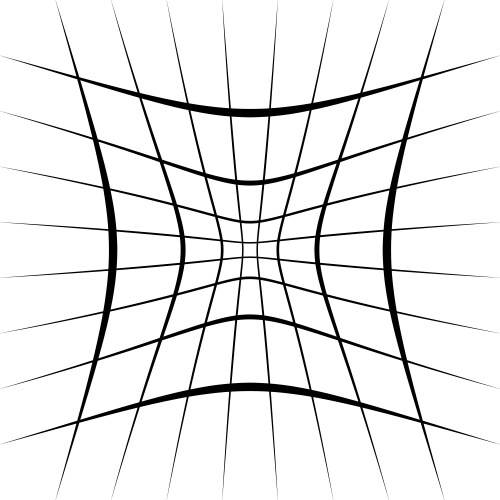 Grid mesh lattice with distortion warp effect vector image