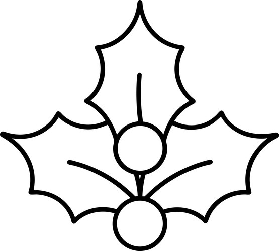 Holly leaves and berries line art Vector Image
