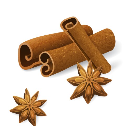 Realistic cinnamon sticks set Royalty Free Vector Image