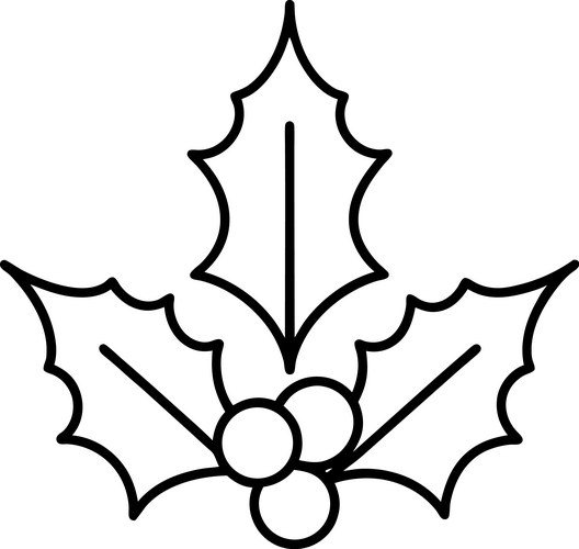 Holly leaves and berries line art Vector Image